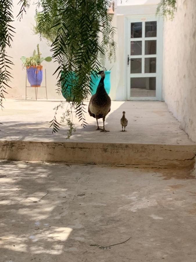 Suite Beldi, La Maison Des Paons Sidi Kaouki Exteriér fotografie