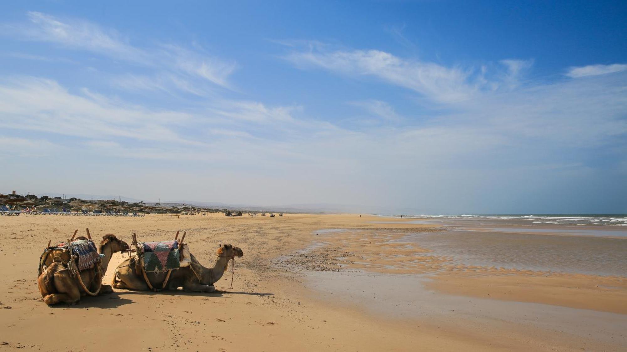 Suite Beldi, La Maison Des Paons Sidi Kaouki Exteriér fotografie